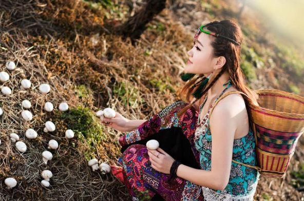 掌握&OpenCurlyDoubleQuote;蘑菇定律&rdquo;離成功就不遠了，優秀作文欣賞：《蟄伏的智慧》