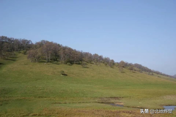 分享一組關山牧場的原生態秋景 分享一組關山牧場的原生態秋景