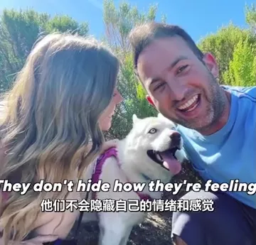 殘疾狗狗樂觀生活自創步伐,鏟屎官:是它改變了我的生活 殘疾狗狗樂觀生活自創步伐,鏟屎官:是它改變了我的生活