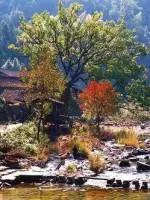 106張照片，美到眼睛移不開