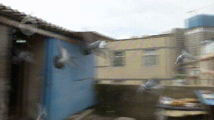 死了8只、救活10只!一萬多一隻的賽鴿就這樣沒了? 死了8只、救活10只!一萬多一隻的賽鴿就這樣沒了?