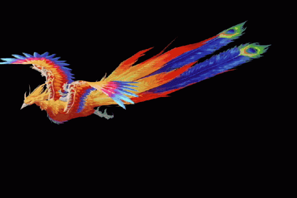 人生最美幾何時 看見孔雀和鳳凰 雙福來襲