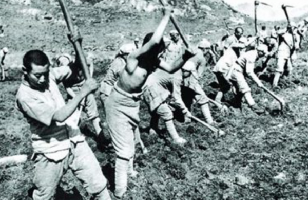 毛主席去南泥灣視察，王震請客吃燒雞，飯後主席悄悄將雞架塞兜裡