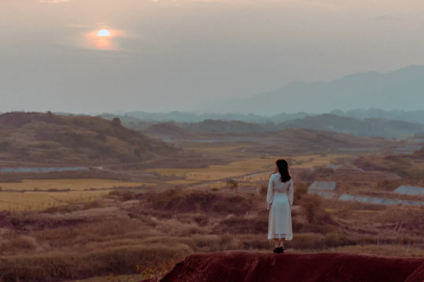 人生過半：忍了，讓了，退了