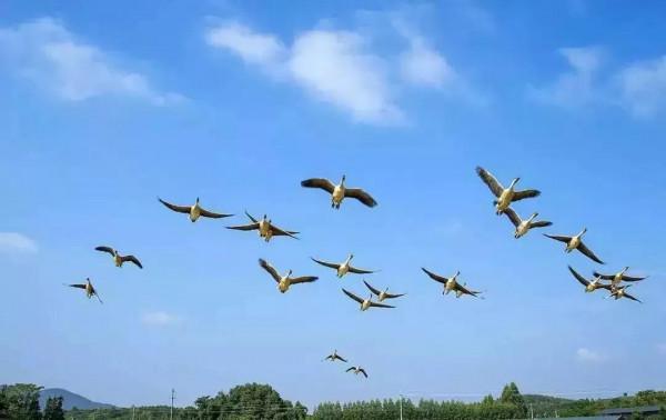 今日秋分《秋分歌》