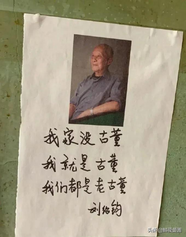 今年最後一個月,我的焦慮,被她們治癒了 今年最後一個月,我的焦慮,被她們治癒了