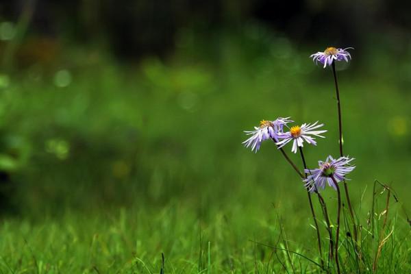 與人相處,忌諱討論這三個話題 與人相處,忌諱討論這三個話題