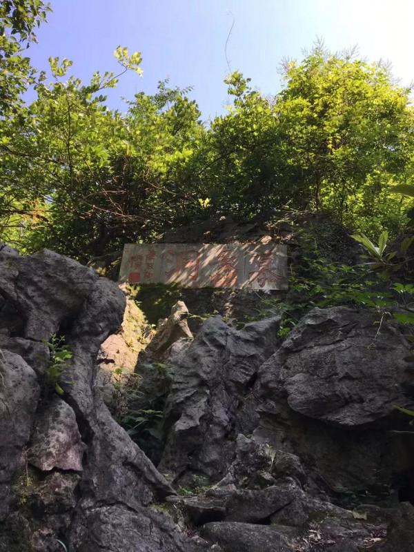 五天長興遊今天回家了