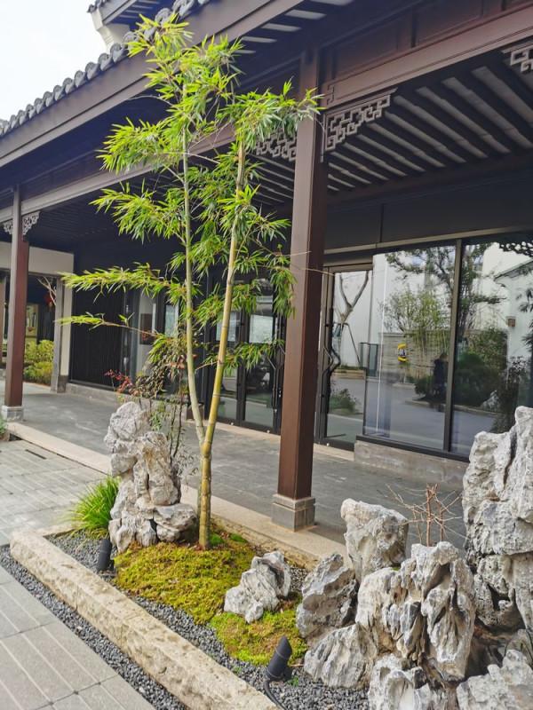 踏青早行人 作者：張鎖龍