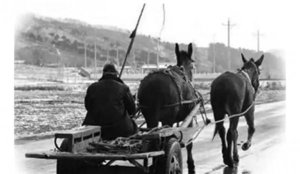 1947年我軍遇襲，眾多高階幹部犧牲，毛主席憤怒不已：槍決護衛員