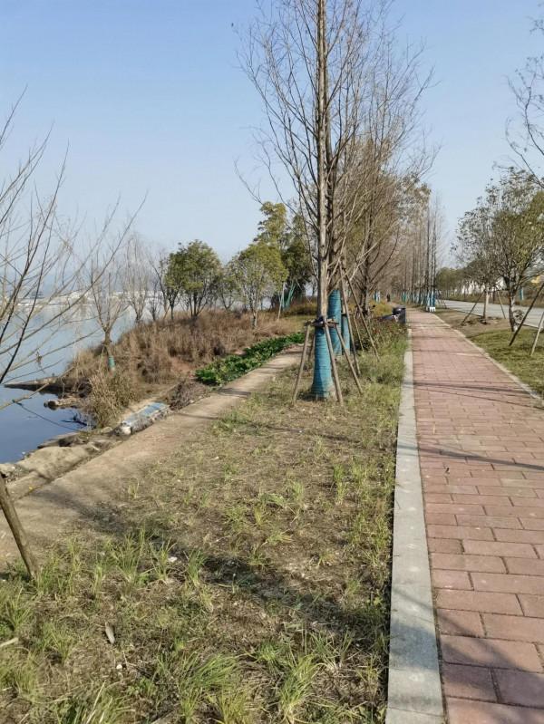 2022年1月3日發現新釣點開飛機回家