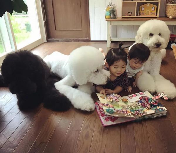 日本奶奶分享小孫女和三隻大狗狗的日常，治癒了56萬+網友…