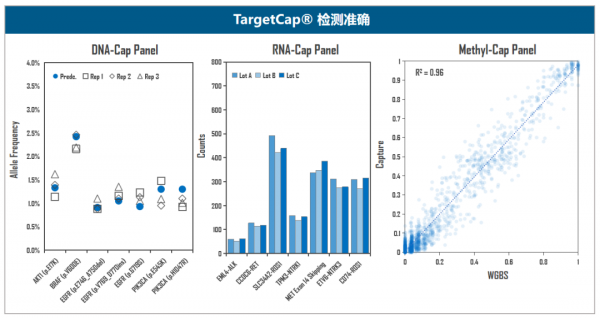伯科高品質DNA合成技術實現多平臺靶向測序應用的領先水平 伯科高品質DNA合成技術實現多平臺靶向測序應用的領先水平
