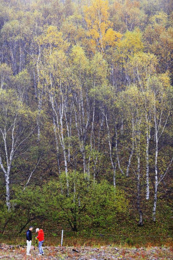 柳樹溝，碰上了下雨，灰濛濛的景色