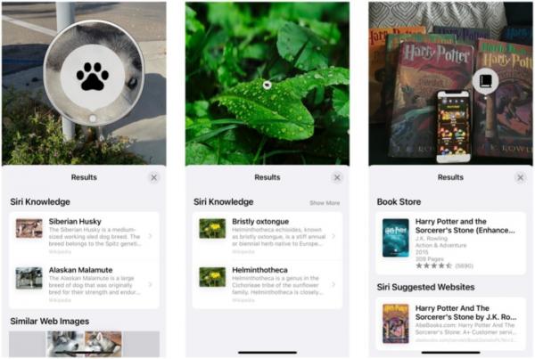 蘋果 iOS 15 正式版上線！「實況文字」超實用，20+ 個新功能值得體驗