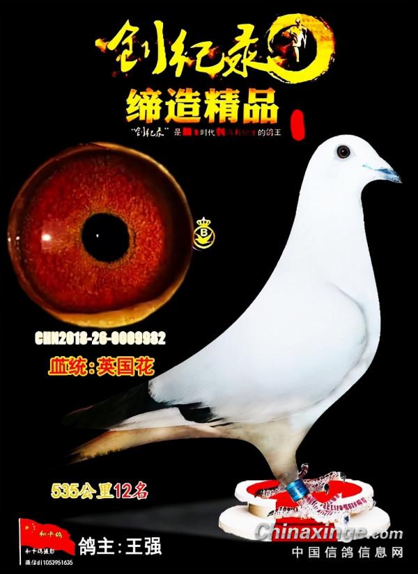最有靈性的一隻鴿子&OpenCurlyDoubleQuote;英國花&rdquo;製成標本