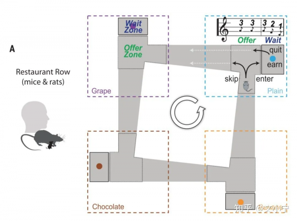 很多時候堅持不是因為真的熱愛，而是沉沒成本在作祟