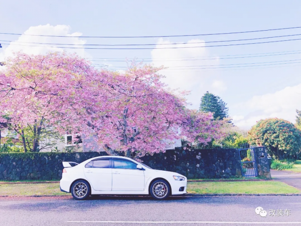 小姐姐連續擁有兩臺";街霸";EVO,完美詮釋何為巾幗不讓鬚眉 小姐姐連續擁有兩臺";街霸";EVO,完美詮釋何為巾幗不讓鬚眉