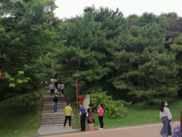 關節疼痛、僵硬，中醫有辦法，助您身手矯健、筋骨強勁