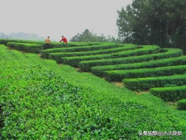 人過七十才明白，家庭興旺時，要學會止損，並做好以下四點