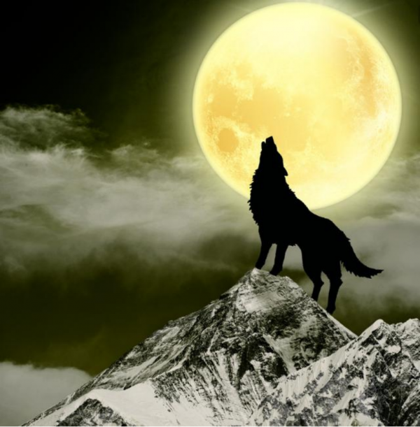 狼月之嚎——看清你的情緒之巔