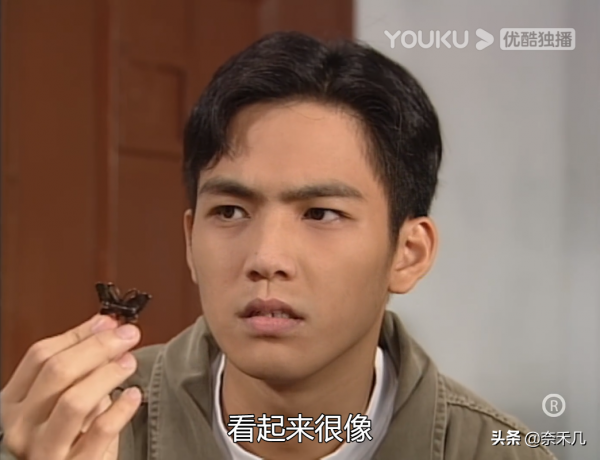 TVB破案劇系列（二）：《刑事偵緝檔案》“蝴蝶殺人案”