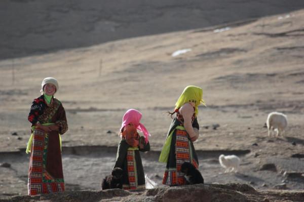 這些景點太治癒了，看完心情好了10000倍