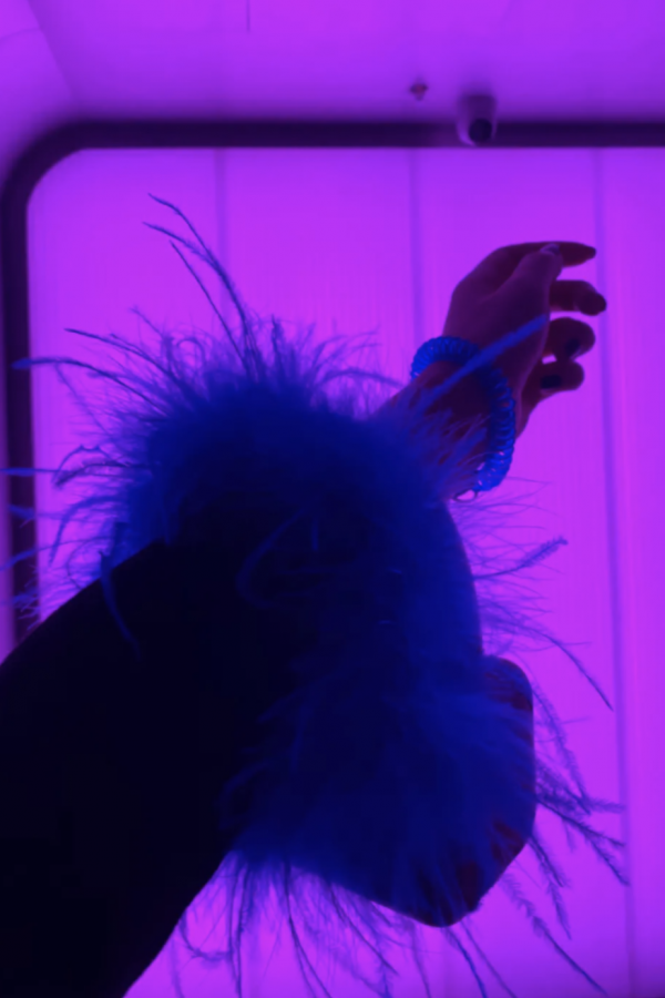 編輯部｜本週編輯推薦，元旦在家也沒閒著