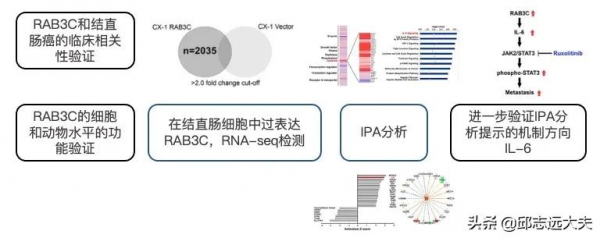 一文解鎖機制研究神器——IPA分析 一文解鎖機制研究神器——IPA分析
