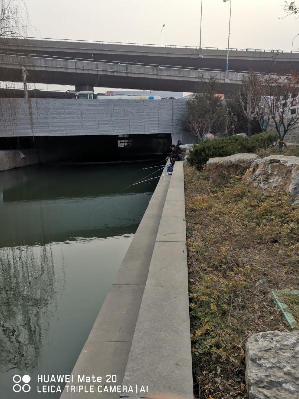 與小雜魚鬥智鬥勇,拼比毅力和耐性 與小雜魚鬥智鬥勇,拼比毅力和耐性