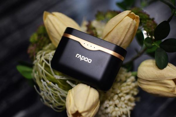 ANC主動降噪 APT通透模式 雷柏Ti100藍芽TWS耳機 ANC主動降噪 APT通透模式 雷柏Ti100藍芽TWS耳機