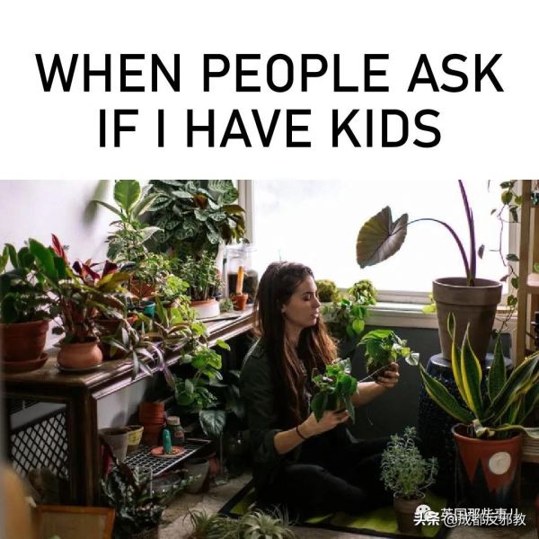 被疫情困太久，歐美年輕人開始瘋狂囤積綠植，借錢都要買？