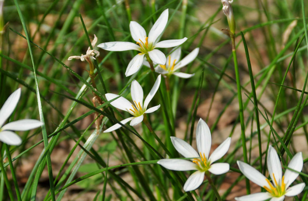 可以不吃但不可以不看