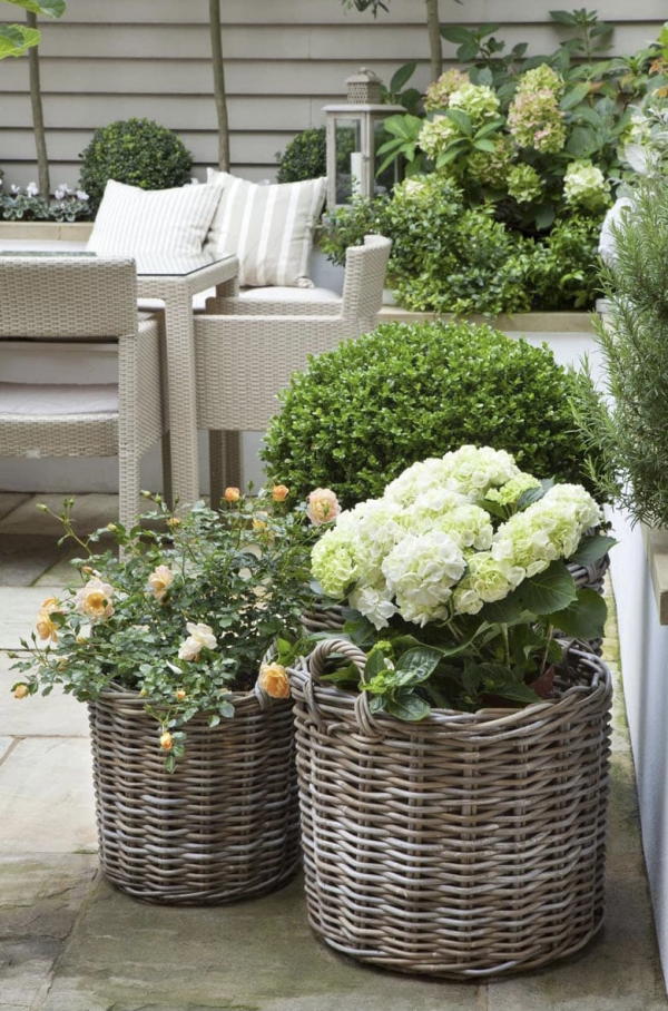 50個庭院植物搭配,幫你設計出絕美的治癒系小花園,收藏啦 50個庭院植物搭配,幫你設計出絕美的治癒系小花園,收藏啦