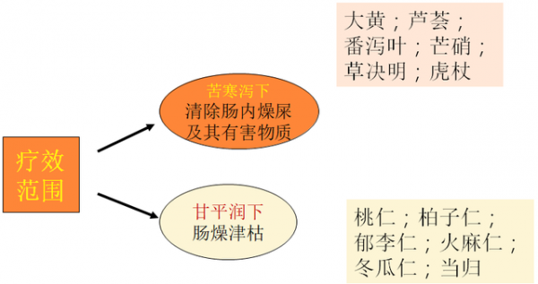 養顏與瀉下類中藥合理應用