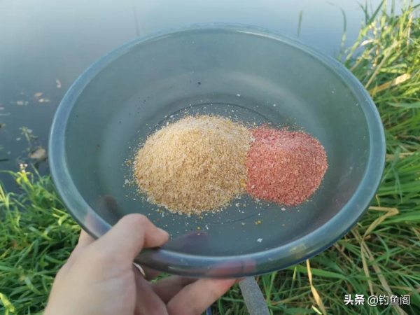 冬季還能用本味餌嗎？開餌不能教條，上魚才是硬道理