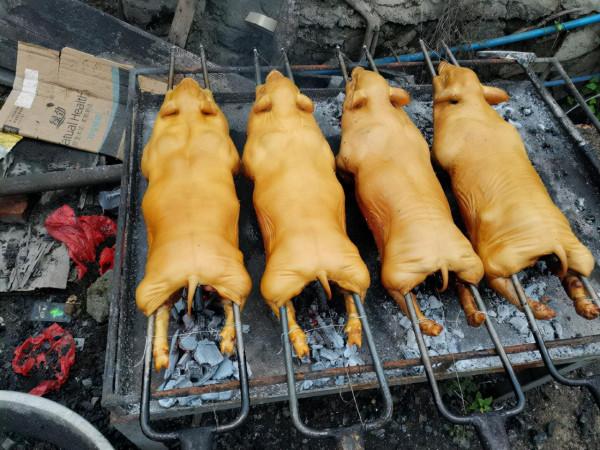 魚鱗洲烤乳豬（22&mdash;&mdash;54）