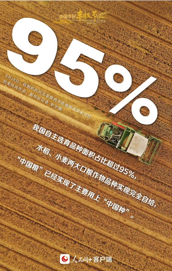 “豐”景如畫慶佳節