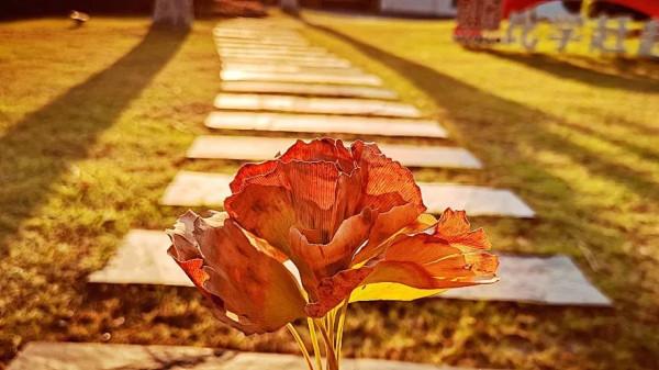 快來打卡！閔行這條路已披上“黃金甲”