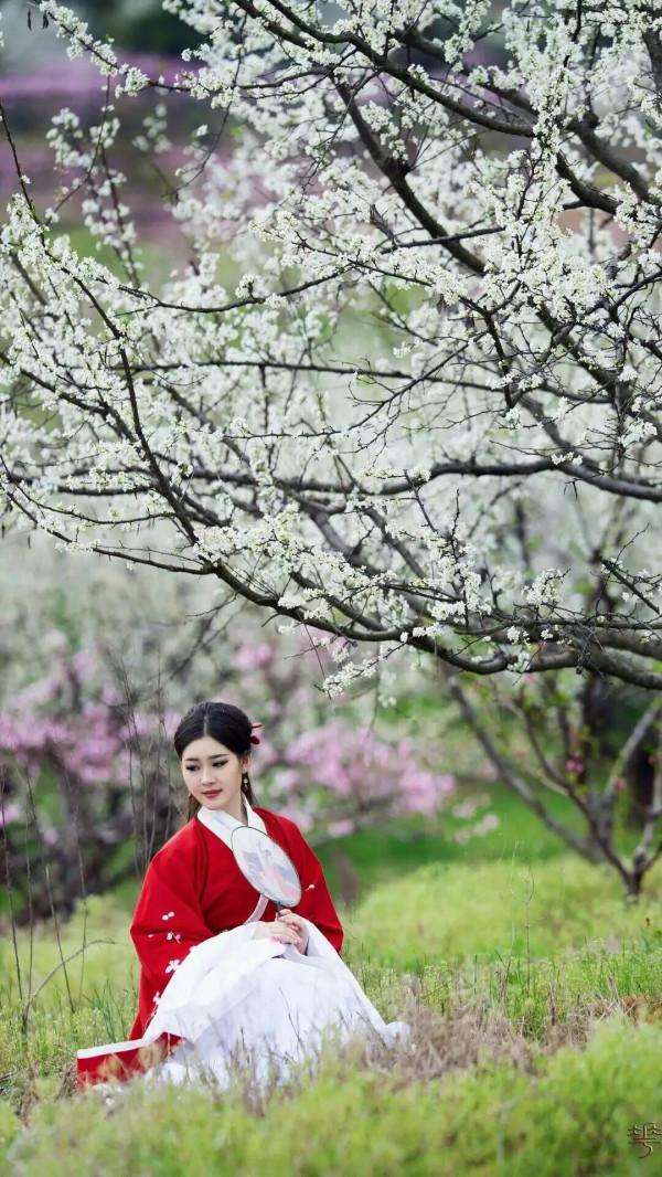 一枝花•春日送別 一枝花•春日送別