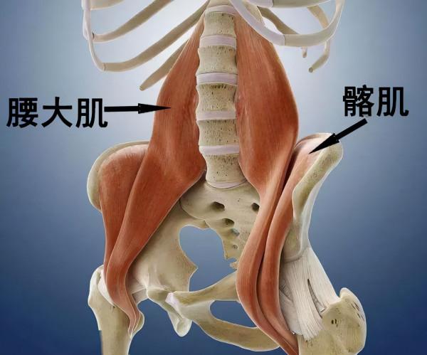 睡覺時腰部懸空、酸脹？兩招幫你緩解