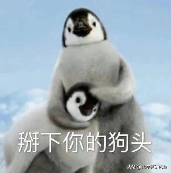 李某迪與吳籤舊照被扒,現場卻現曉明哥,網友:哈哈你什麼眼神 李某迪與吳籤舊照被扒,現場卻現曉明哥,網友:哈哈你什麼眼神