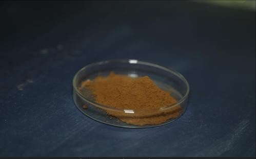 兩種中成藥，益氣復脈、活血化瘀、養陰生津，改善冠心病、心絞痛