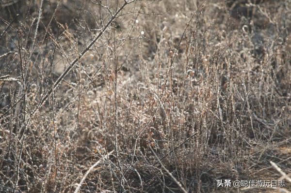 北京徒步登山：尋跡山間冰溪、冰瀑自然美景，門頭溝西胡林自駕遊