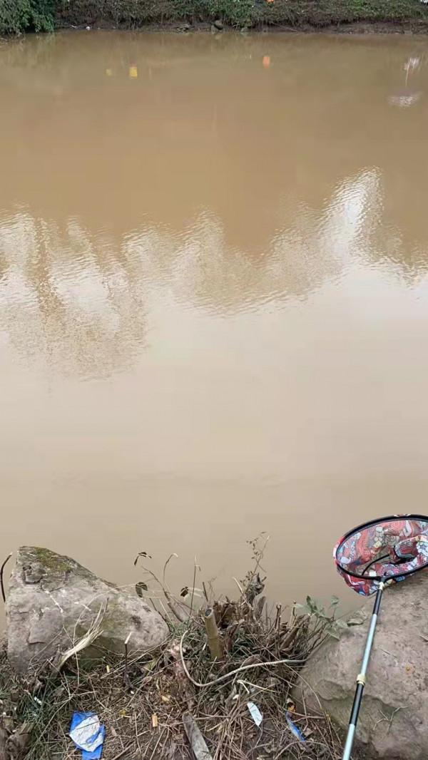 用蚯蚓打窩效果會如何？一起來瞧一瞧