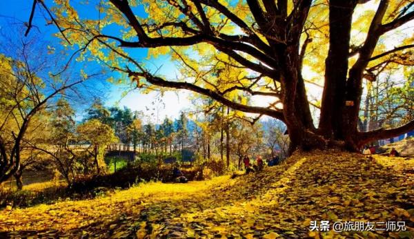 廣州出發-雲冰山+筆架山2天遊｜乘綠皮火車遊銀杏村