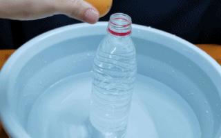 3個親子趣玩科學實驗，給家長的手把手教程來了