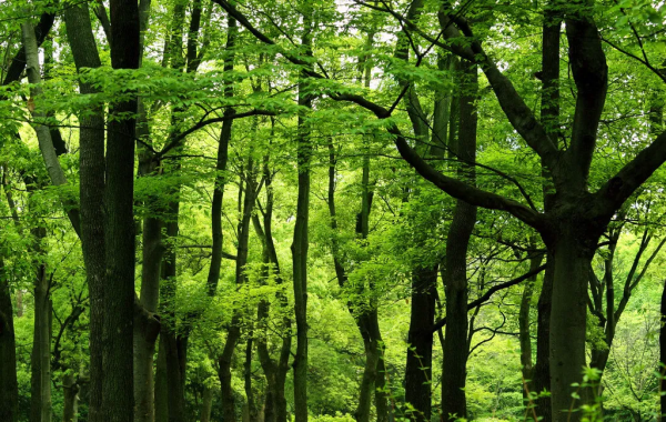 鼓城山-七里峽景區拍了拍你，國慶出遊不用愁，收藏此文任君遊