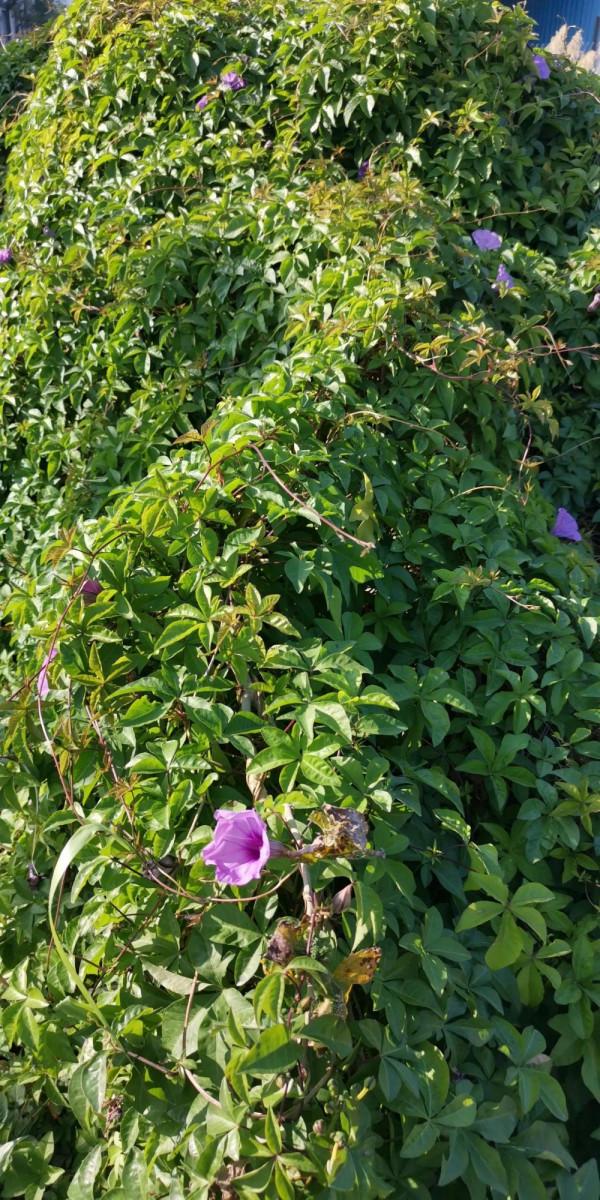 為你揭秘，為什麼歷史上一直是北方人統治南方人？