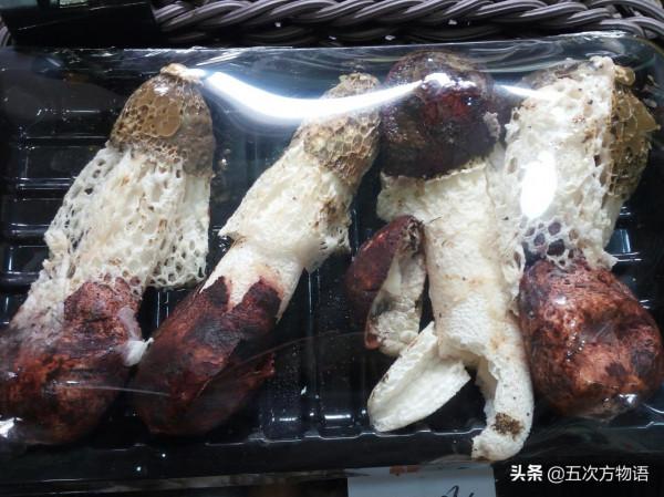 菜市場菌類大彙總